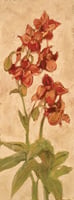 Orchid I <br/> Mary Nunn