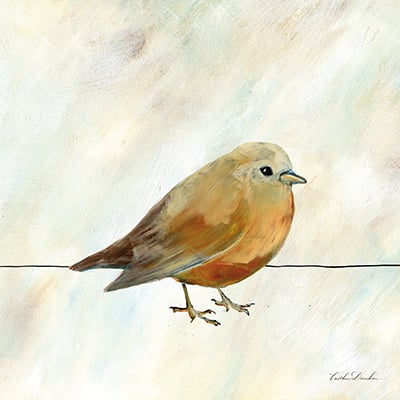 Painted Bird I <br/> Caitlin Dundon