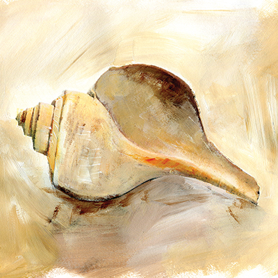Painted Seashells III <br/> Caitlin Dundon