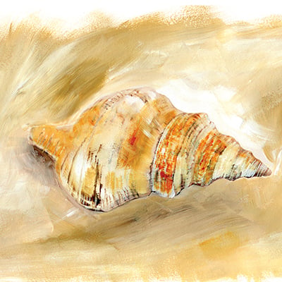 Painted Seashells IV <br/> Caitlin Dundon