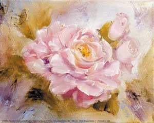 Pink Roses I <br/> Carolyn Cook