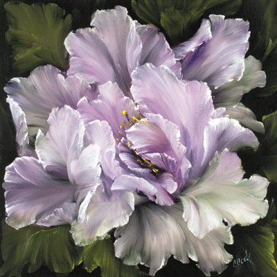 Tulip Mystique <br/> Carolyn Cook