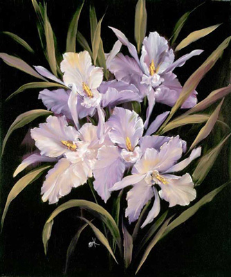 Orchid Collection<br/>Carolyn Cook