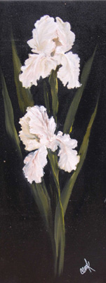 White Iris Mystique II<br/>Carolyn Cook