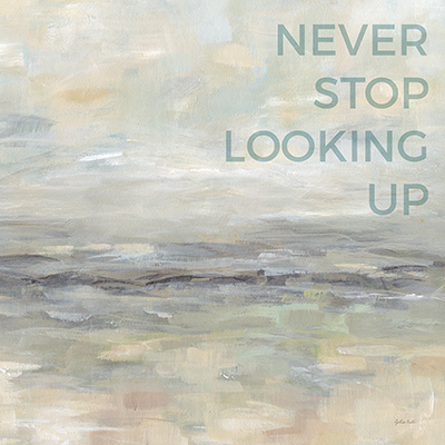 Never Stop Looking Up<br/>Cynthia Coulter