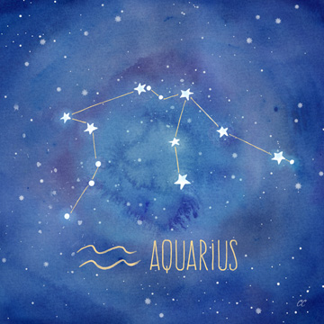 Star Sign Aquarius<br/>Cynthia Coulter