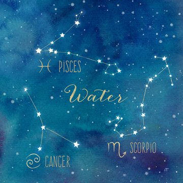 Star Sign Water<br/>Cynthia Coulter