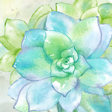 Sweet Succulents II<br/>Cynthia Coulter