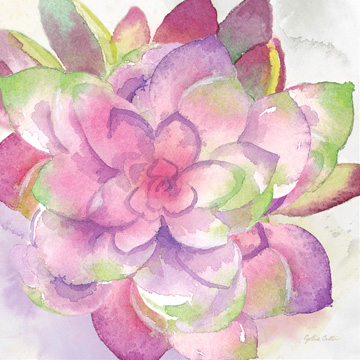 Sweet Succulents III<br/>Cynthia Coulter