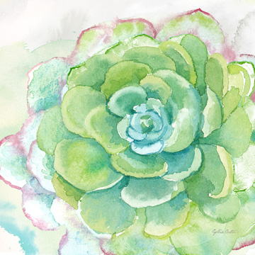 Sweet Succulents IV<br/>Cynthia Coulter