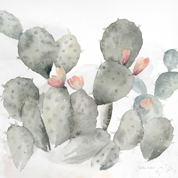 Cactus Garden Gray Blush I<br/>Cynthia Coulter