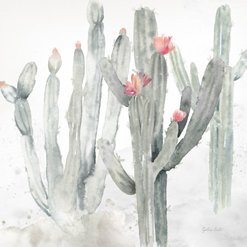 Cactus Garden Gray Blush II<br/>Cynthia Coulter