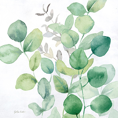 Eucalyptus Leaves I<br/>Cynthia Coulter