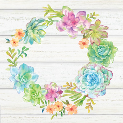 Sweet Succulents Wreath II<br/>Cynthia Coulter