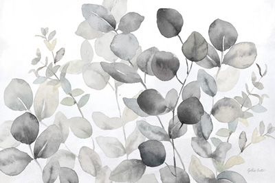 Eucalyptus Leaves landscape neutral<br/>Cynthia Coulter