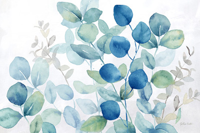 Eucalyptus Leaves landscape blue green<br/>Cynthia Coulter