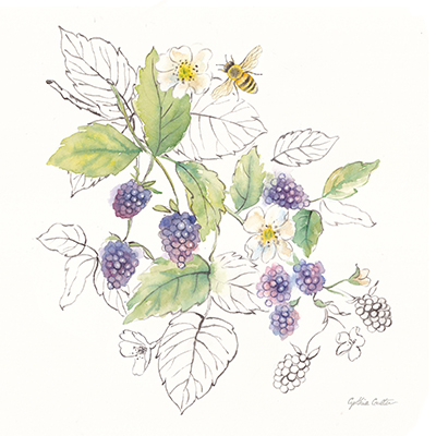 Berries and Bees III <br/> Cynthia Coulter