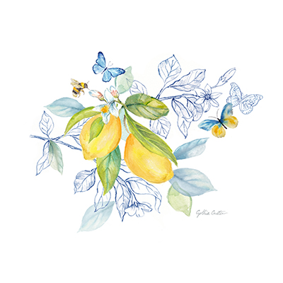 Lemon Sketch Book II <br/> Cynthia Coulter