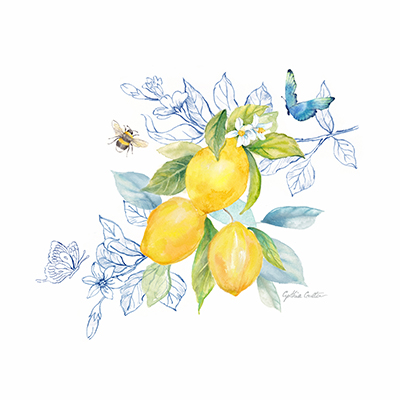 Lemon Sketch Book III <br/> Cynthia Coulter