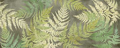 Majestic Fern Green Charcoal<br/>Cynthia Coulter
