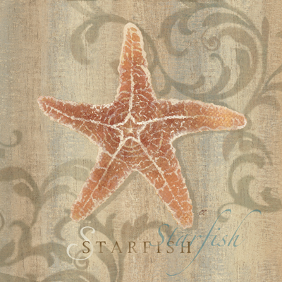 Starfish Swirl<br/>Cynthia Coulter