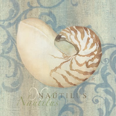Nautilus Swirl <br/> Cynthia Coulter
