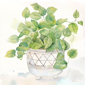 Houseplant I-Philodendron <br/> Cynthia Coulter