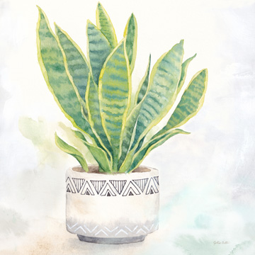 Houseplant IV-Snake Plant <br/> Cynthia Coulter
