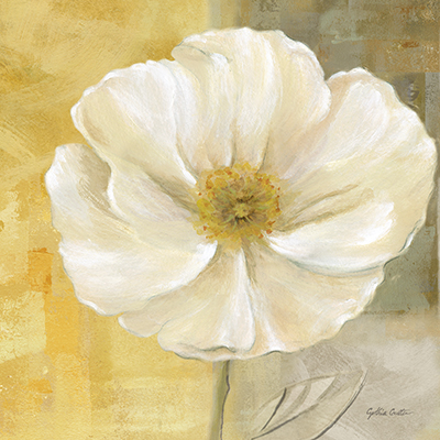 White Poppy Closeup I<br/>Cynthia Coulter
