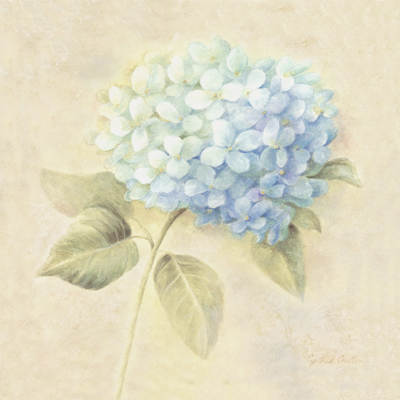 Blue Hydrangea I<br/>Cynthia Coulter