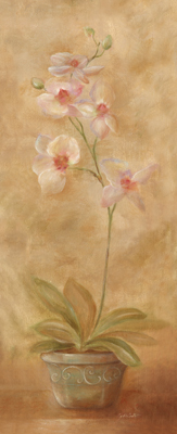 Potted Orchid II <br/> Cynthia Coulter