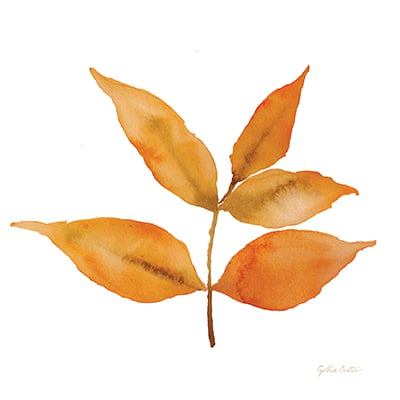 Modern Leaf Study I on White  <br/> Cynthia Coulter