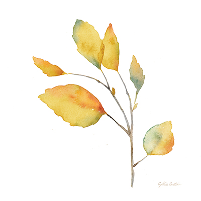 Modern Leaf Study  II  on White <br/> Cynthia Coulter