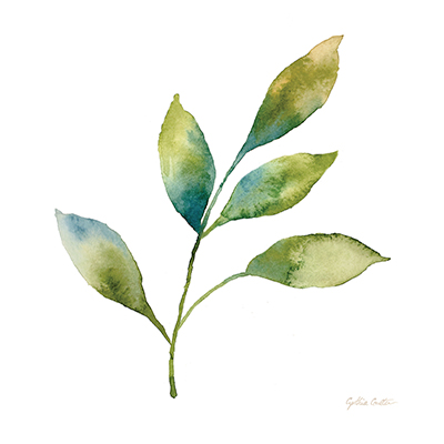 Modern Leaf Study IV on White  <br/> Cynthia Coulter