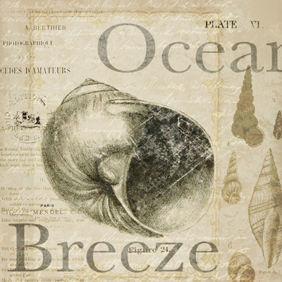 Ocean Treasure II <br/> Iron Orchid Designs