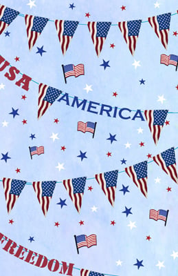 American Banner <br/> Jen Killeen