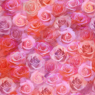 Valentines Roses <br/> Jen Killeen