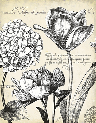  Pen Ink Floral Study IV 22x28 <br/> Marie Elaine Cusson