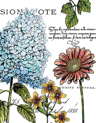Botanical Postcard Color I<br/>Marie Elaine Cusson