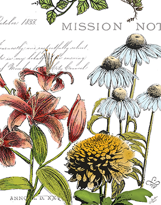 Botanical Postcard Color II<br/>Marie Elaine Cusson