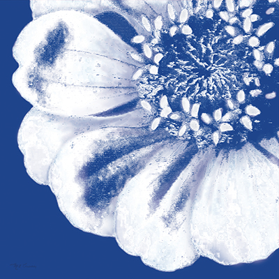 Flower Pop blue II <br/> Marie Elaine Cusson