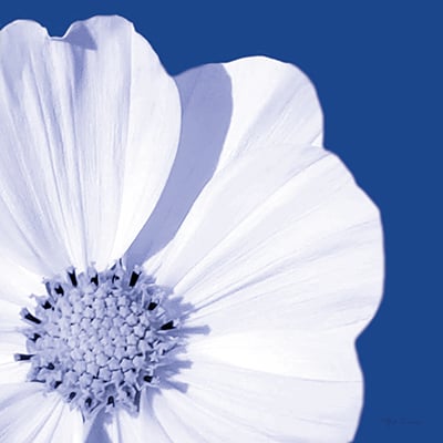 Flower Pop blue III <br/> Marie Elaine Cusson