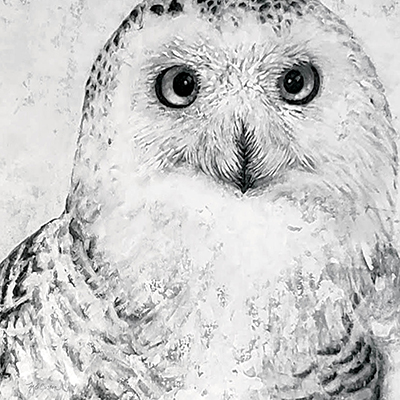 Portrait of a Snowy Owl <br/> Marie Elaine Cusson