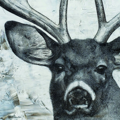 Deer Portrait <br/> Marie Elaine Cusson