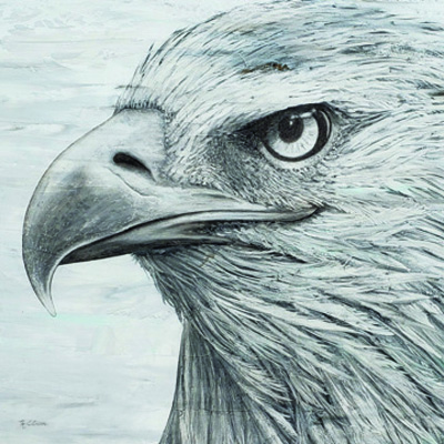 Portrait of an Eagle <br/> Marie Elaine Cusson