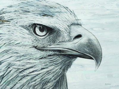 Eagle landscape <br/> Marie Elaine Cusson