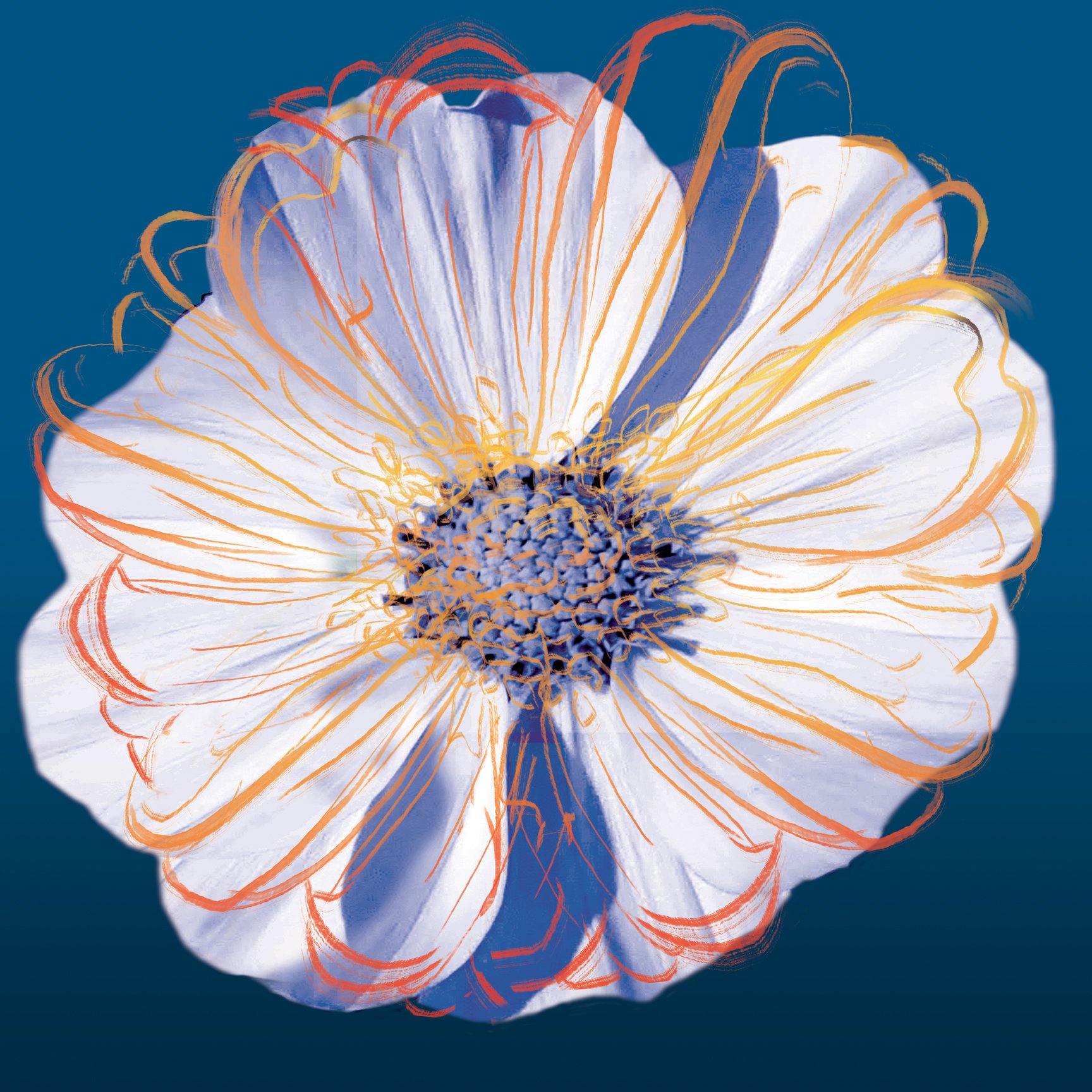 Flower Pop Pastel II <br/> Marie Elaine Cusson