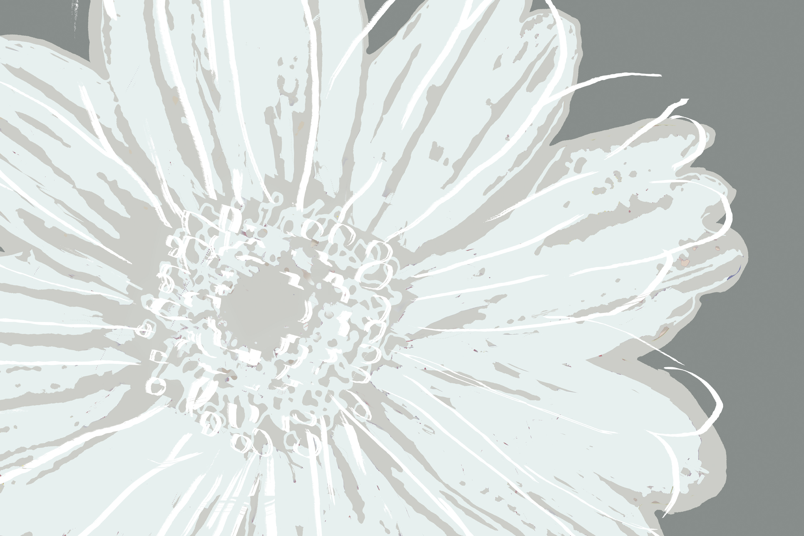 Flower Pop Sketch III-Greys <br/> Marie Elaine Cusson