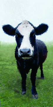 Funky Cow I <br/> Marie Elaine Cusson