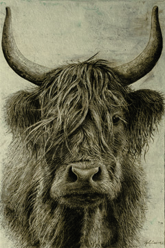 Highland rustic portrait <br/> Marie Elaine Cusson